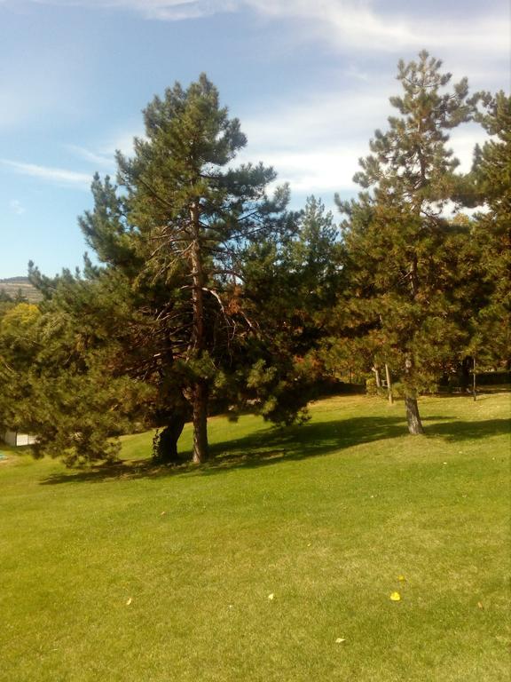 Балнеохотел Роза Strelcha Exterior foto